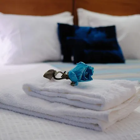 Dom Carlos I Penzion